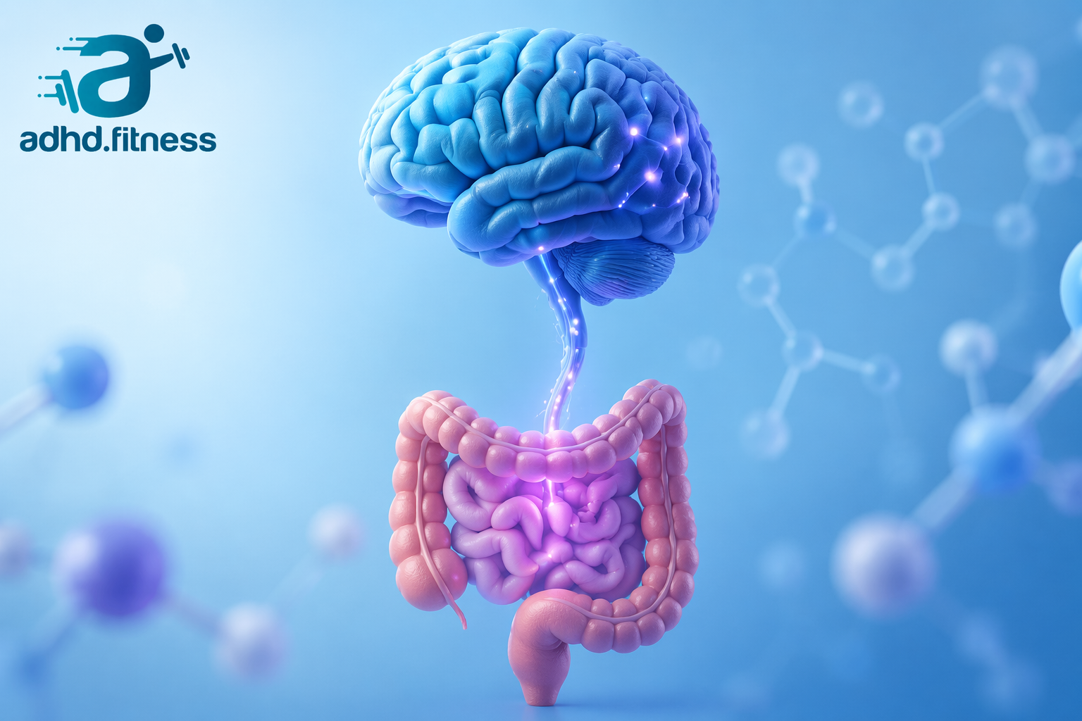 Brain-gut connection
